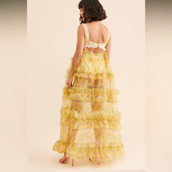 For Love And Lemons Vikki Sheer Maxi Dress - Picture 2 of 6